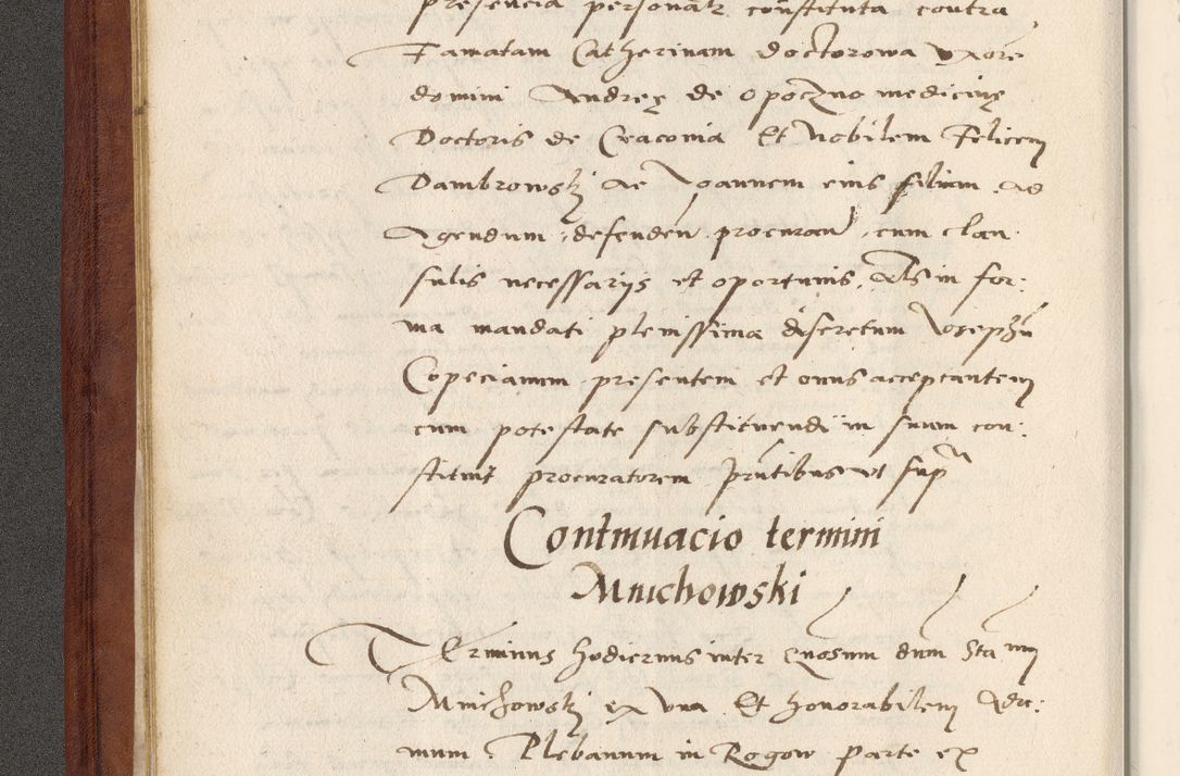 Zdjęcie nr 25 dla obiektu archiwalnego: Acta actorum coram R. D. Petro de Gamratis, archiepiscopo Gnesnensi et episcopo Cracoviensi, Legato nato et Regni Poloniar primate ad a. D. 1544 et 1545 acticatorum - praesidente tunc Suae Rev. Paternitatis curiae cancellario R. D. Bertholomaeo Gantkowski, archidiacono Cracoviensi, Gnesnensi et Posnaniensi canonico.
