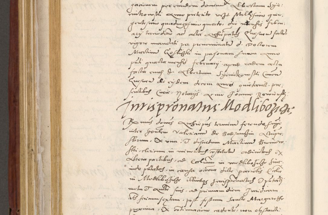 Zdjęcie nr 911 dla obiektu archiwalnego: Acta actorum coram R. D. Petro de Gamratis, archiepiscopo Gnesnensi et episcopo Cracoviensi, Legato nato et Regni Poloniar primate ad a. D. 1544 et 1545 acticatorum - praesidente tunc Suae Rev. Paternitatis curiae cancellario R. D. Bertholomaeo Gantkowski, archidiacono Cracoviensi, Gnesnensi et Posnaniensi canonico.