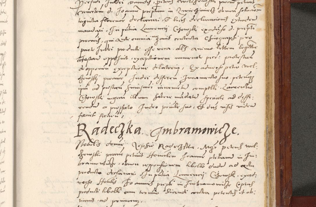 Zdjęcie nr 874 dla obiektu archiwalnego: Acta actorum coram R. D. Petro de Gamratis, archiepiscopo Gnesnensi et episcopo Cracoviensi, Legato nato et Regni Poloniar primate ad a. D. 1544 et 1545 acticatorum - praesidente tunc Suae Rev. Paternitatis curiae cancellario R. D. Bertholomaeo Gantkowski, archidiacono Cracoviensi, Gnesnensi et Posnaniensi canonico.