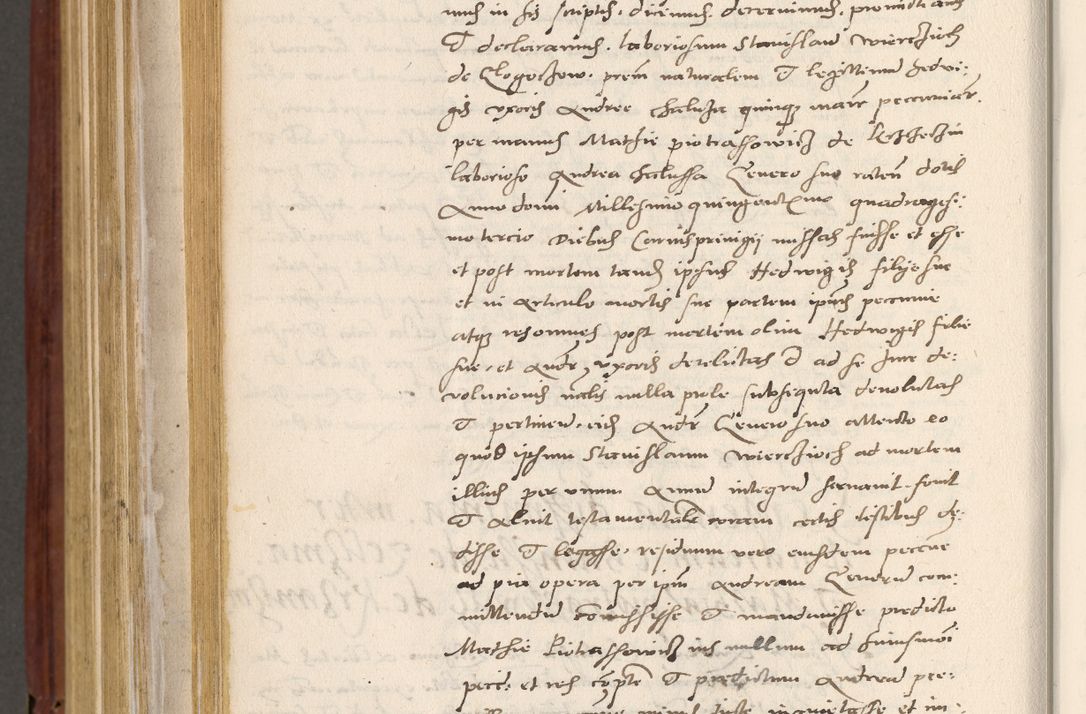 Zdjęcie nr 873 dla obiektu archiwalnego: Acta actorum coram R. D. Petro de Gamratis, archiepiscopo Gnesnensi et episcopo Cracoviensi, Legato nato et Regni Poloniar primate ad a. D. 1544 et 1545 acticatorum - praesidente tunc Suae Rev. Paternitatis curiae cancellario R. D. Bertholomaeo Gantkowski, archidiacono Cracoviensi, Gnesnensi et Posnaniensi canonico.