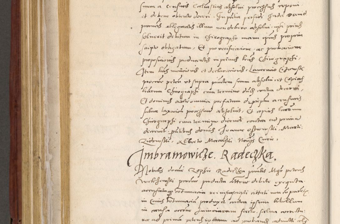 Zdjęcie nr 863 dla obiektu archiwalnego: Acta actorum coram R. D. Petro de Gamratis, archiepiscopo Gnesnensi et episcopo Cracoviensi, Legato nato et Regni Poloniar primate ad a. D. 1544 et 1545 acticatorum - praesidente tunc Suae Rev. Paternitatis curiae cancellario R. D. Bertholomaeo Gantkowski, archidiacono Cracoviensi, Gnesnensi et Posnaniensi canonico.