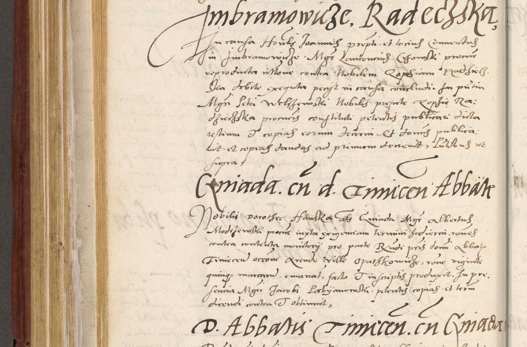 Zdjęcie nr 819 dla obiektu archiwalnego: Acta actorum coram R. D. Petro de Gamratis, archiepiscopo Gnesnensi et episcopo Cracoviensi, Legato nato et Regni Poloniar primate ad a. D. 1544 et 1545 acticatorum - praesidente tunc Suae Rev. Paternitatis curiae cancellario R. D. Bertholomaeo Gantkowski, archidiacono Cracoviensi, Gnesnensi et Posnaniensi canonico.