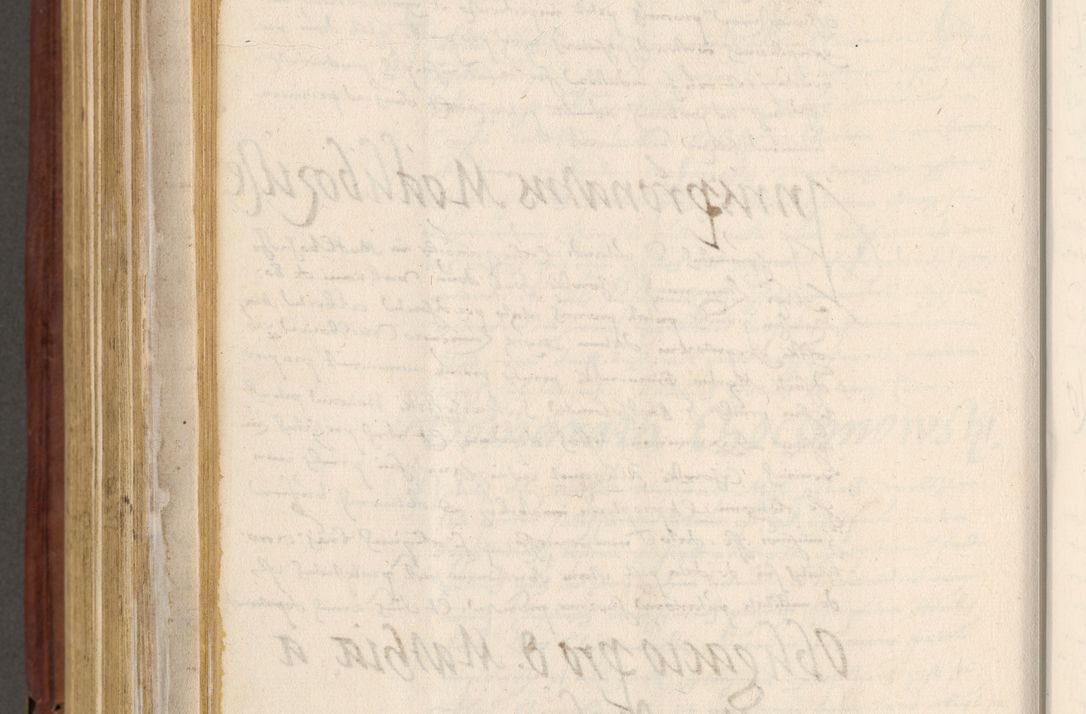 Zdjęcie nr 813 dla obiektu archiwalnego: Acta actorum coram R. D. Petro de Gamratis, archiepiscopo Gnesnensi et episcopo Cracoviensi, Legato nato et Regni Poloniar primate ad a. D. 1544 et 1545 acticatorum - praesidente tunc Suae Rev. Paternitatis curiae cancellario R. D. Bertholomaeo Gantkowski, archidiacono Cracoviensi, Gnesnensi et Posnaniensi canonico.