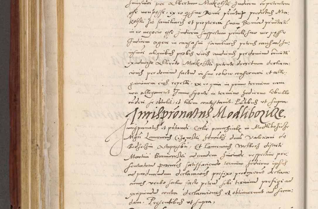 Zdjęcie nr 801 dla obiektu archiwalnego: Acta actorum coram R. D. Petro de Gamratis, archiepiscopo Gnesnensi et episcopo Cracoviensi, Legato nato et Regni Poloniar primate ad a. D. 1544 et 1545 acticatorum - praesidente tunc Suae Rev. Paternitatis curiae cancellario R. D. Bertholomaeo Gantkowski, archidiacono Cracoviensi, Gnesnensi et Posnaniensi canonico.