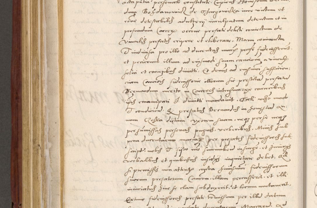 Zdjęcie nr 795 dla obiektu archiwalnego: Acta actorum coram R. D. Petro de Gamratis, archiepiscopo Gnesnensi et episcopo Cracoviensi, Legato nato et Regni Poloniar primate ad a. D. 1544 et 1545 acticatorum - praesidente tunc Suae Rev. Paternitatis curiae cancellario R. D. Bertholomaeo Gantkowski, archidiacono Cracoviensi, Gnesnensi et Posnaniensi canonico.