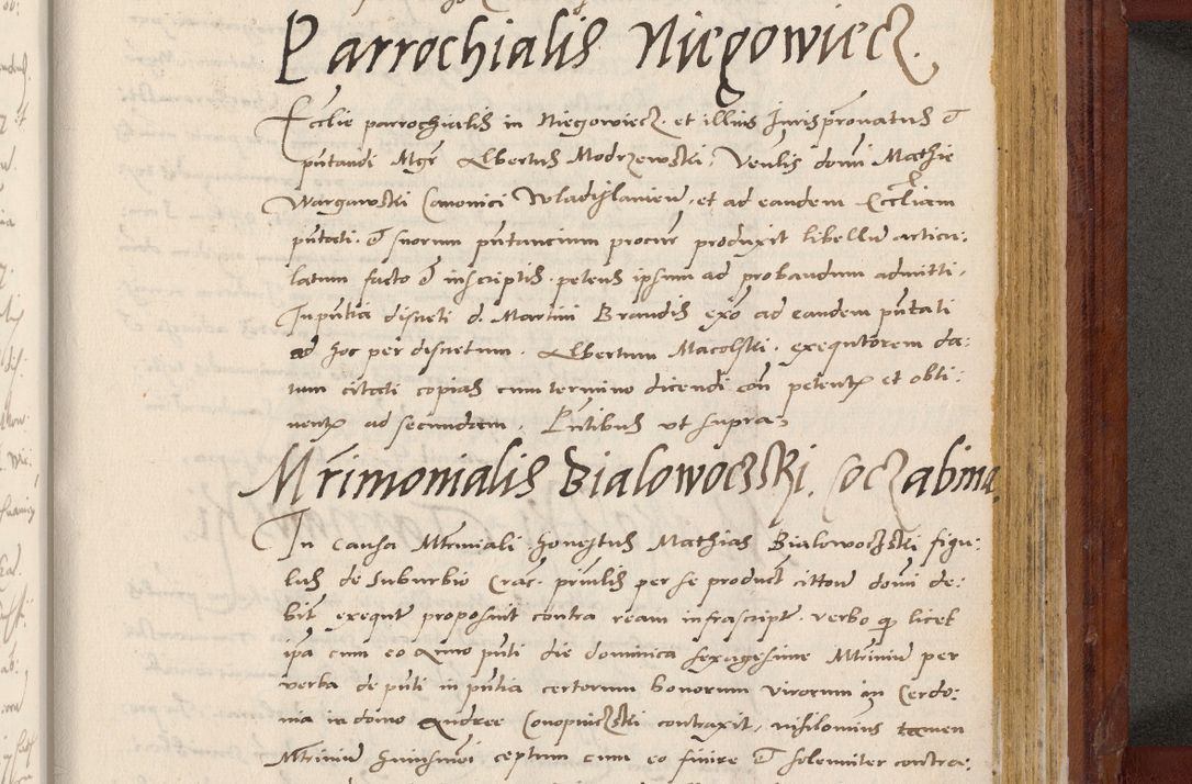 Zdjęcie nr 790 dla obiektu archiwalnego: Acta actorum coram R. D. Petro de Gamratis, archiepiscopo Gnesnensi et episcopo Cracoviensi, Legato nato et Regni Poloniar primate ad a. D. 1544 et 1545 acticatorum - praesidente tunc Suae Rev. Paternitatis curiae cancellario R. D. Bertholomaeo Gantkowski, archidiacono Cracoviensi, Gnesnensi et Posnaniensi canonico.