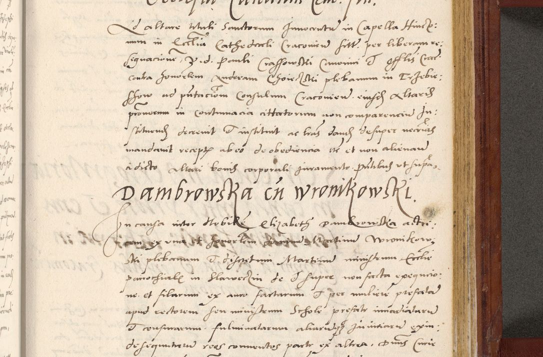 Zdjęcie nr 782 dla obiektu archiwalnego: Acta actorum coram R. D. Petro de Gamratis, archiepiscopo Gnesnensi et episcopo Cracoviensi, Legato nato et Regni Poloniar primate ad a. D. 1544 et 1545 acticatorum - praesidente tunc Suae Rev. Paternitatis curiae cancellario R. D. Bertholomaeo Gantkowski, archidiacono Cracoviensi, Gnesnensi et Posnaniensi canonico.