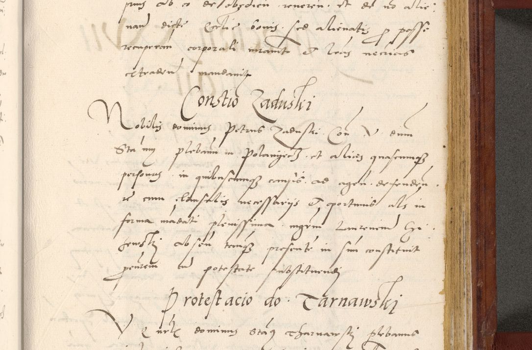 Zdjęcie nr 754 dla obiektu archiwalnego: Acta actorum coram R. D. Petro de Gamratis, archiepiscopo Gnesnensi et episcopo Cracoviensi, Legato nato et Regni Poloniar primate ad a. D. 1544 et 1545 acticatorum - praesidente tunc Suae Rev. Paternitatis curiae cancellario R. D. Bertholomaeo Gantkowski, archidiacono Cracoviensi, Gnesnensi et Posnaniensi canonico.