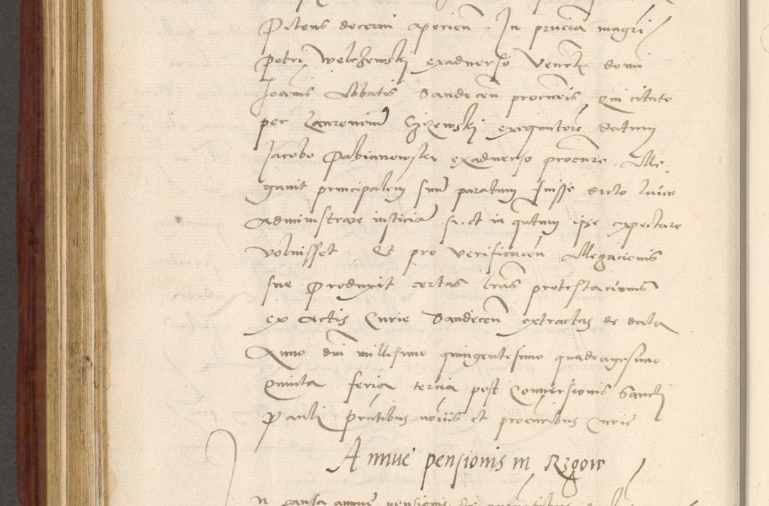 Zdjęcie nr 695 dla obiektu archiwalnego: Acta actorum coram R. D. Petro de Gamratis, archiepiscopo Gnesnensi et episcopo Cracoviensi, Legato nato et Regni Poloniar primate ad a. D. 1544 et 1545 acticatorum - praesidente tunc Suae Rev. Paternitatis curiae cancellario R. D. Bertholomaeo Gantkowski, archidiacono Cracoviensi, Gnesnensi et Posnaniensi canonico.