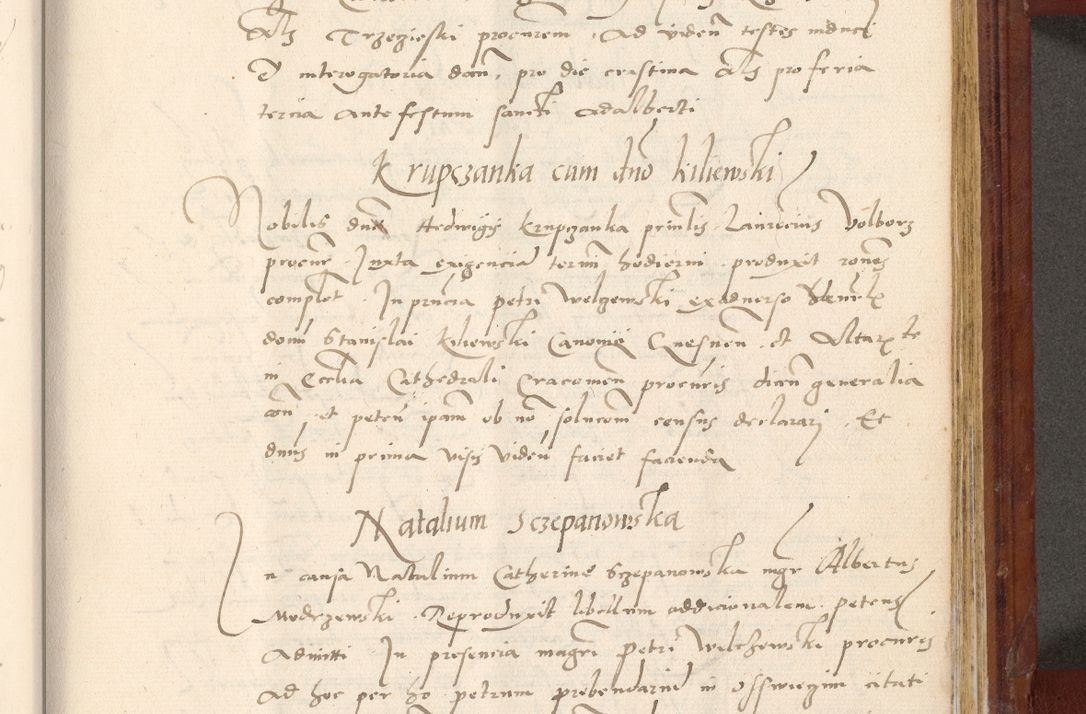 Zdjęcie nr 668 dla obiektu archiwalnego: Acta actorum coram R. D. Petro de Gamratis, archiepiscopo Gnesnensi et episcopo Cracoviensi, Legato nato et Regni Poloniar primate ad a. D. 1544 et 1545 acticatorum - praesidente tunc Suae Rev. Paternitatis curiae cancellario R. D. Bertholomaeo Gantkowski, archidiacono Cracoviensi, Gnesnensi et Posnaniensi canonico.