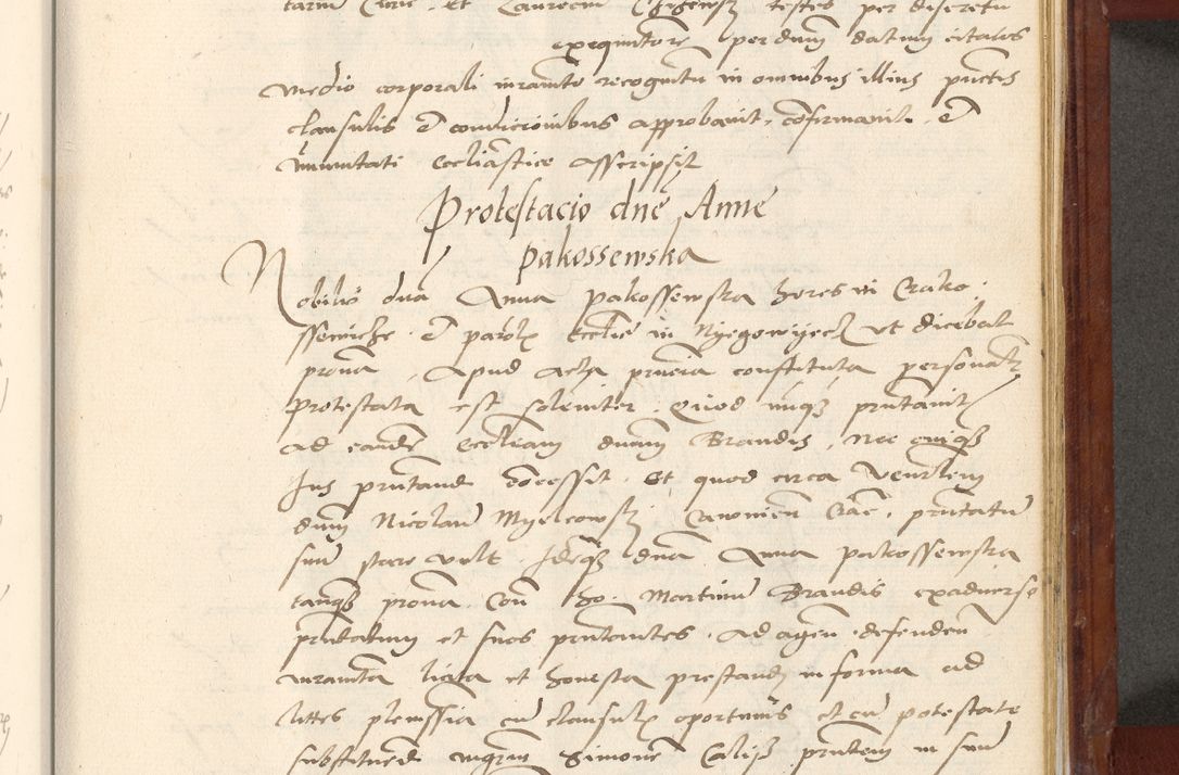 Zdjęcie nr 602 dla obiektu archiwalnego: Acta actorum coram R. D. Petro de Gamratis, archiepiscopo Gnesnensi et episcopo Cracoviensi, Legato nato et Regni Poloniar primate ad a. D. 1544 et 1545 acticatorum - praesidente tunc Suae Rev. Paternitatis curiae cancellario R. D. Bertholomaeo Gantkowski, archidiacono Cracoviensi, Gnesnensi et Posnaniensi canonico.