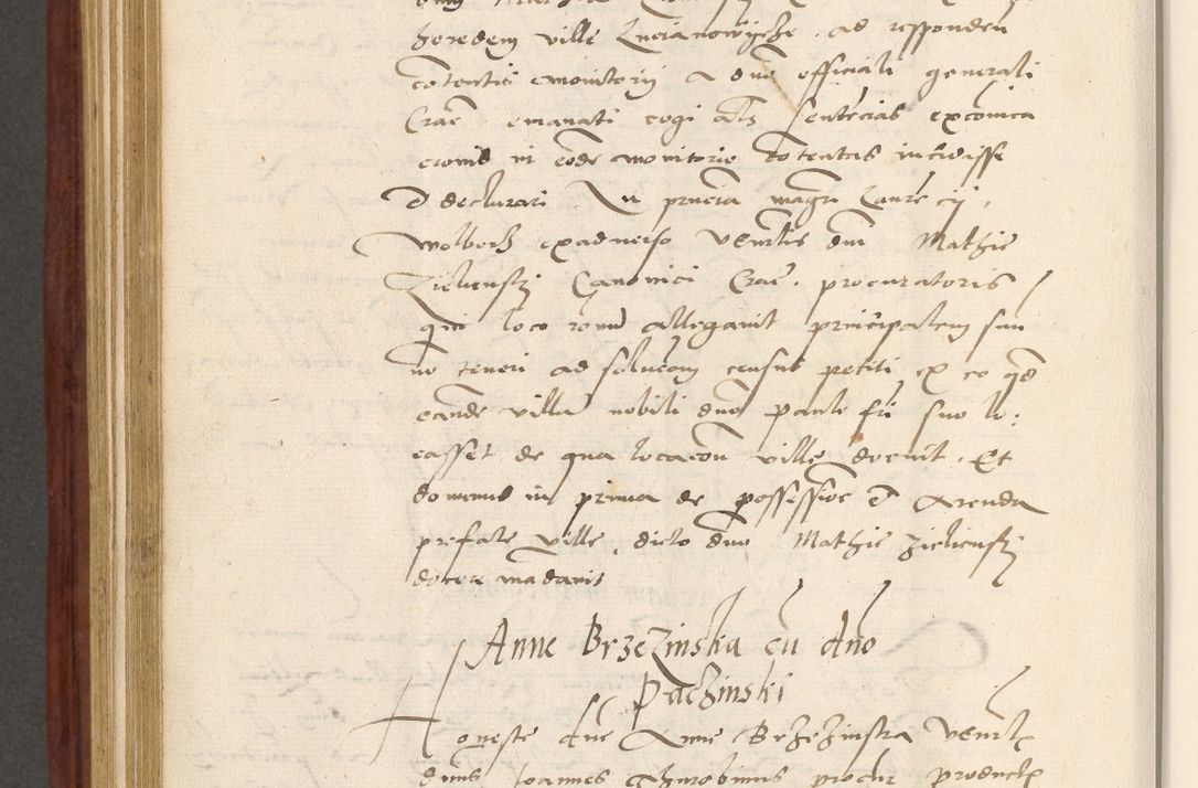 Zdjęcie nr 593 dla obiektu archiwalnego: Acta actorum coram R. D. Petro de Gamratis, archiepiscopo Gnesnensi et episcopo Cracoviensi, Legato nato et Regni Poloniar primate ad a. D. 1544 et 1545 acticatorum - praesidente tunc Suae Rev. Paternitatis curiae cancellario R. D. Bertholomaeo Gantkowski, archidiacono Cracoviensi, Gnesnensi et Posnaniensi canonico.