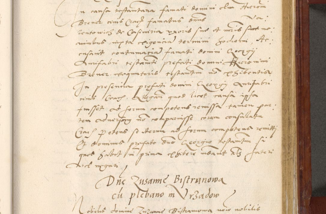 Zdjęcie nr 490 dla obiektu archiwalnego: Acta actorum coram R. D. Petro de Gamratis, archiepiscopo Gnesnensi et episcopo Cracoviensi, Legato nato et Regni Poloniar primate ad a. D. 1544 et 1545 acticatorum - praesidente tunc Suae Rev. Paternitatis curiae cancellario R. D. Bertholomaeo Gantkowski, archidiacono Cracoviensi, Gnesnensi et Posnaniensi canonico.