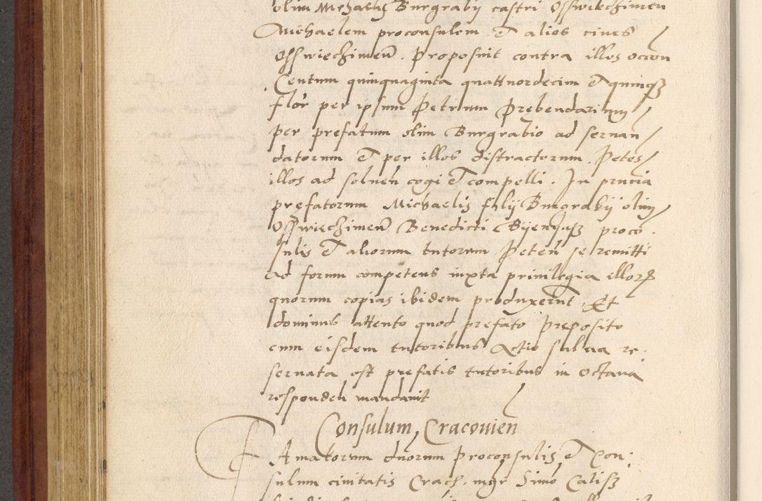 Zdjęcie nr 449 dla obiektu archiwalnego: Acta actorum coram R. D. Petro de Gamratis, archiepiscopo Gnesnensi et episcopo Cracoviensi, Legato nato et Regni Poloniar primate ad a. D. 1544 et 1545 acticatorum - praesidente tunc Suae Rev. Paternitatis curiae cancellario R. D. Bertholomaeo Gantkowski, archidiacono Cracoviensi, Gnesnensi et Posnaniensi canonico.