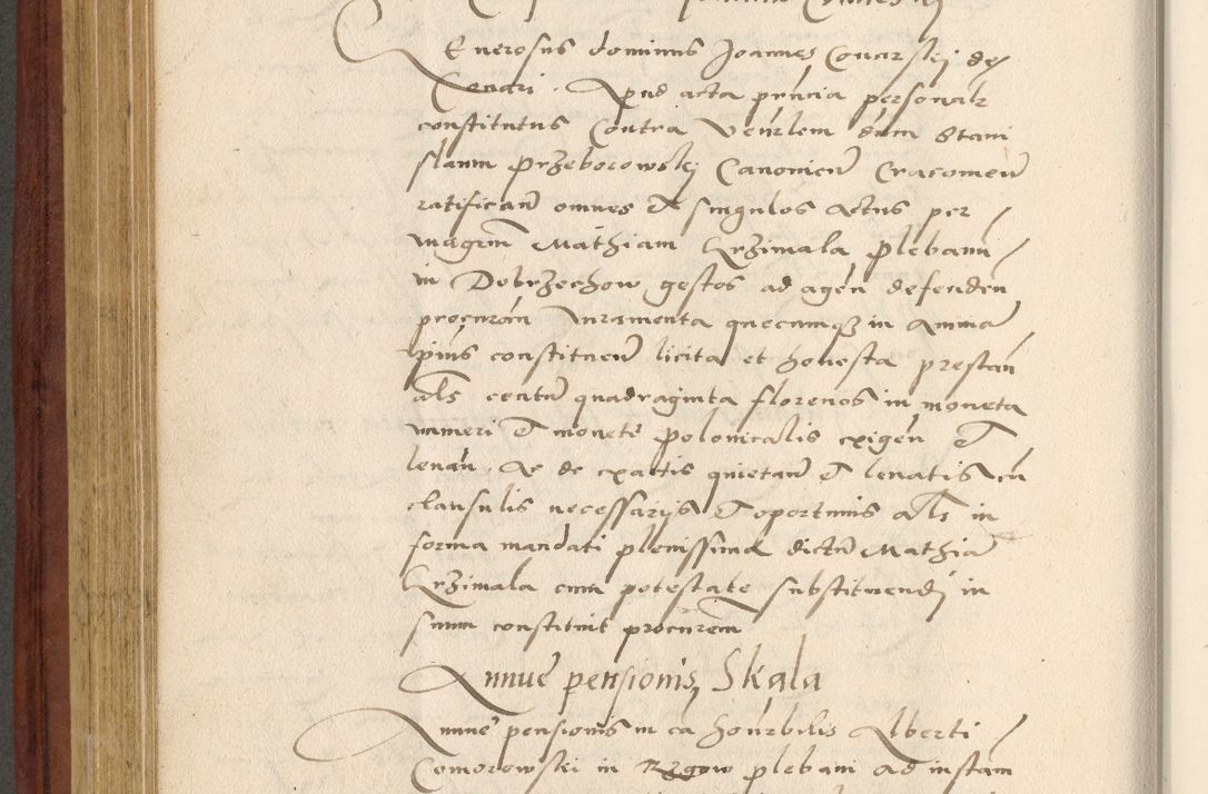 Zdjęcie nr 431 dla obiektu archiwalnego: Acta actorum coram R. D. Petro de Gamratis, archiepiscopo Gnesnensi et episcopo Cracoviensi, Legato nato et Regni Poloniar primate ad a. D. 1544 et 1545 acticatorum - praesidente tunc Suae Rev. Paternitatis curiae cancellario R. D. Bertholomaeo Gantkowski, archidiacono Cracoviensi, Gnesnensi et Posnaniensi canonico.