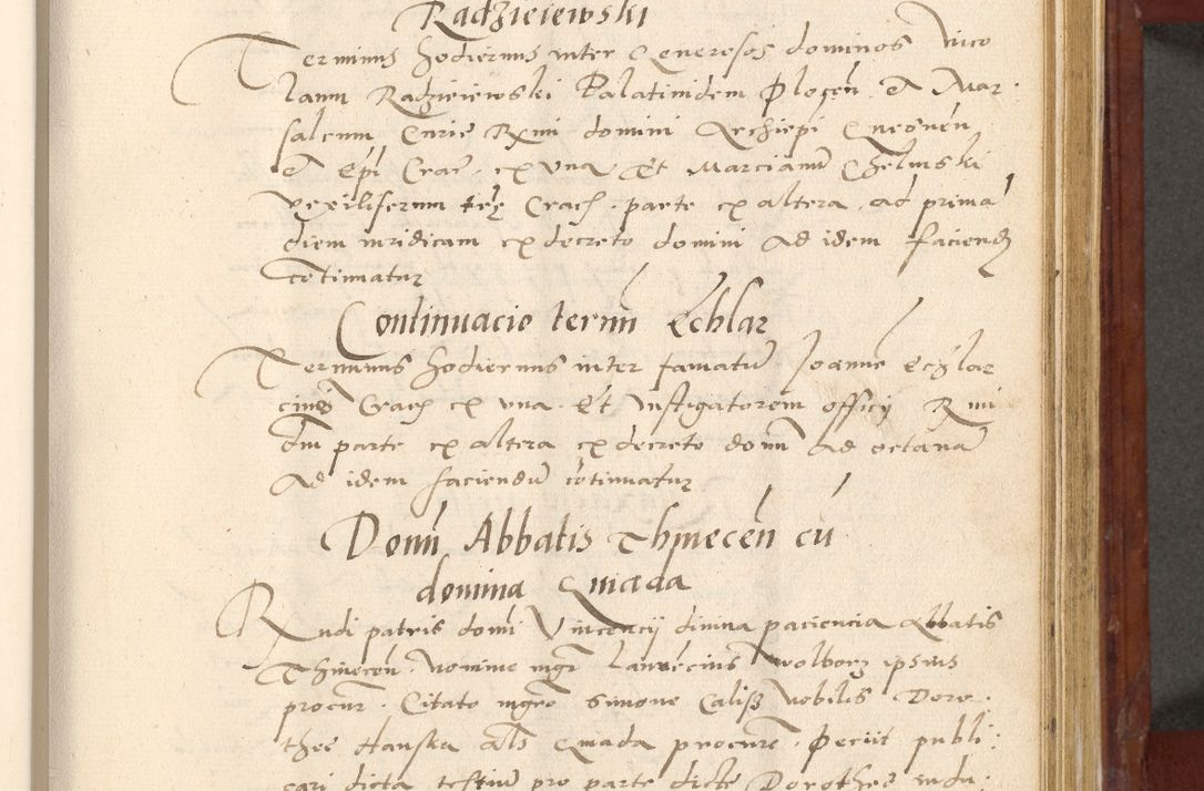 Zdjęcie nr 424 dla obiektu archiwalnego: Acta actorum coram R. D. Petro de Gamratis, archiepiscopo Gnesnensi et episcopo Cracoviensi, Legato nato et Regni Poloniar primate ad a. D. 1544 et 1545 acticatorum - praesidente tunc Suae Rev. Paternitatis curiae cancellario R. D. Bertholomaeo Gantkowski, archidiacono Cracoviensi, Gnesnensi et Posnaniensi canonico.