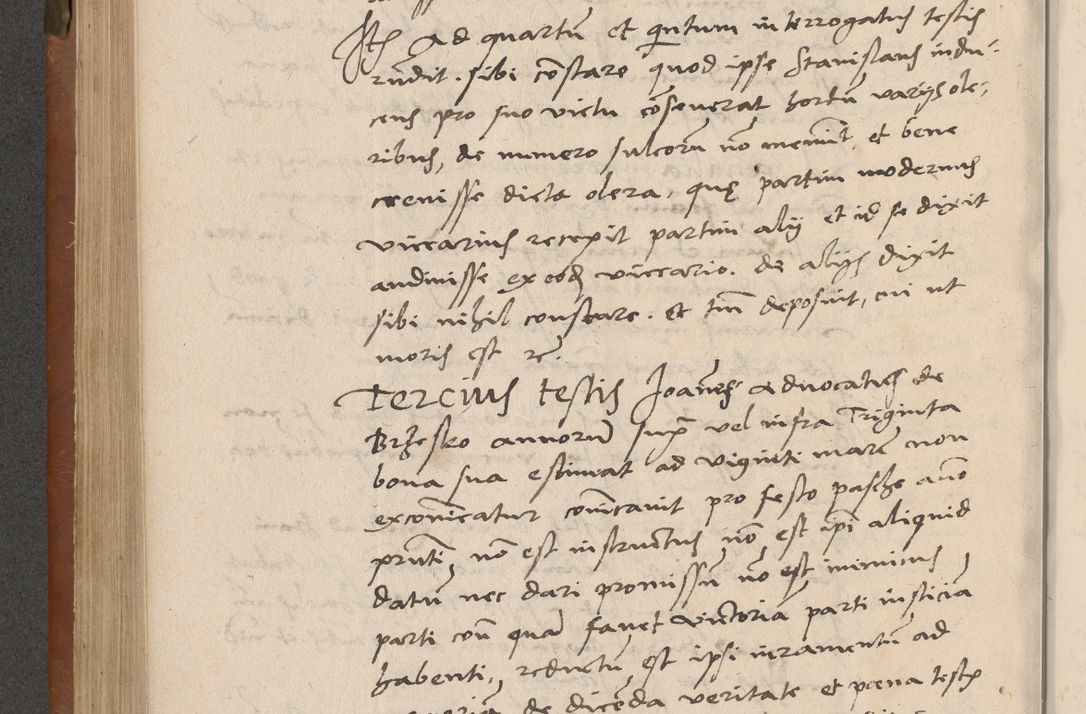 Zdjęcie nr 305 dla obiektu archiwalnego: Acta attestationum seu depositionum testium coram R. D. Petro de Gamratis, episcopo Cracoviensi, V. D. Bartholomaeo Gantkowski, Posnaniensi et Suae Paternitatis Rev. cancellario ac Sigismundo de Stazicza, decretorum doctore, auditore causarum curiae episcopalis praesidentibus ad a. D. 1540 et 1541, per me Bartholomaeum Ravensem, utraquw auctoriate notarium publicum et coram Sua Paternitatr Rev. causarum scriba feliciter inchoatum.