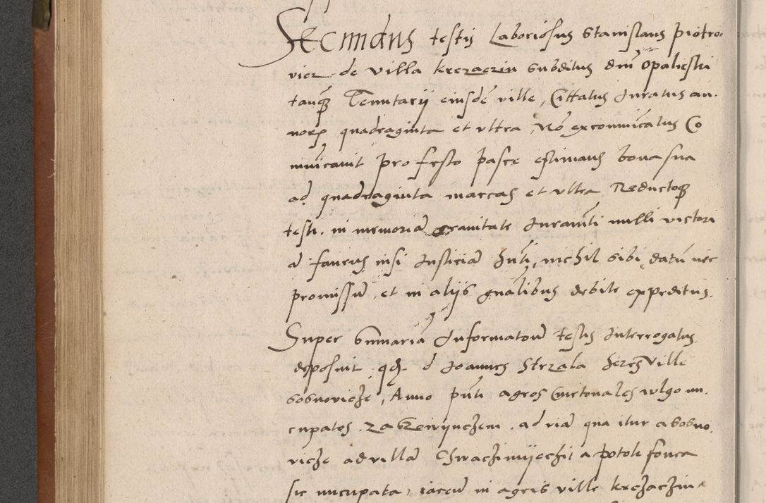 Zdjęcie nr 271 dla obiektu archiwalnego: Acta attestationum seu depositionum testium coram R. D. Petro de Gamratis, episcopo Cracoviensi, V. D. Bartholomaeo Gantkowski, Posnaniensi et Suae Paternitatis Rev. cancellario ac Sigismundo de Stazicza, decretorum doctore, auditore causarum curiae episcopalis praesidentibus ad a. D. 1540 et 1541, per me Bartholomaeum Ravensem, utraquw auctoriate notarium publicum et coram Sua Paternitatr Rev. causarum scriba feliciter inchoatum.