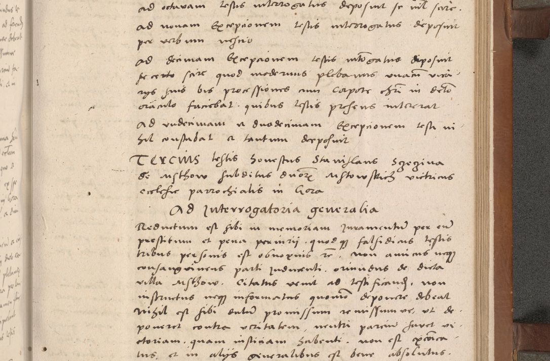 Zdjęcie nr 248 dla obiektu archiwalnego: Acta attestationum seu depositionum testium coram R. D. Petro de Gamratis, episcopo Cracoviensi, V. D. Bartholomaeo Gantkowski, Posnaniensi et Suae Paternitatis Rev. cancellario ac Sigismundo de Stazicza, decretorum doctore, auditore causarum curiae episcopalis praesidentibus ad a. D. 1540 et 1541, per me Bartholomaeum Ravensem, utraquw auctoriate notarium publicum et coram Sua Paternitatr Rev. causarum scriba feliciter inchoatum.