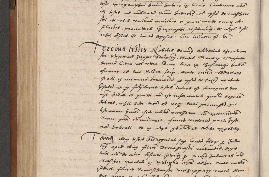 Zdjęcie nr 205 dla obiektu archiwalnego: Acta attestationum seu depositionum testium coram R. D. Petro de Gamratis, episcopo Cracoviensi, V. D. Bartholomaeo Gantkowski, Posnaniensi et Suae Paternitatis Rev. cancellario ac Sigismundo de Stazicza, decretorum doctore, auditore causarum curiae episcopalis praesidentibus ad a. D. 1540 et 1541, per me Bartholomaeum Ravensem, utraquw auctoriate notarium publicum et coram Sua Paternitatr Rev. causarum scriba feliciter inchoatum.