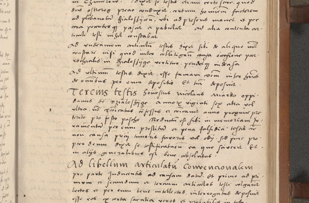 Zdjęcie nr 192 dla obiektu archiwalnego: Acta attestationum seu depositionum testium coram R. D. Petro de Gamratis, episcopo Cracoviensi, V. D. Bartholomaeo Gantkowski, Posnaniensi et Suae Paternitatis Rev. cancellario ac Sigismundo de Stazicza, decretorum doctore, auditore causarum curiae episcopalis praesidentibus ad a. D. 1540 et 1541, per me Bartholomaeum Ravensem, utraquw auctoriate notarium publicum et coram Sua Paternitatr Rev. causarum scriba feliciter inchoatum.