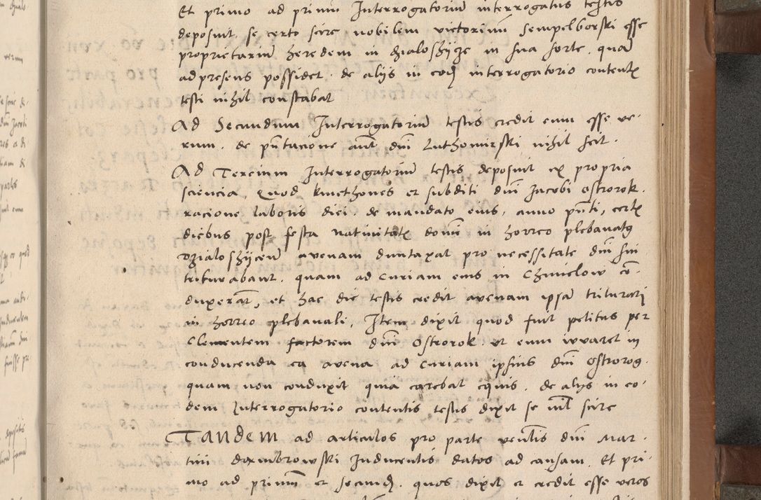 Zdjęcie nr 182 dla obiektu archiwalnego: Acta attestationum seu depositionum testium coram R. D. Petro de Gamratis, episcopo Cracoviensi, V. D. Bartholomaeo Gantkowski, Posnaniensi et Suae Paternitatis Rev. cancellario ac Sigismundo de Stazicza, decretorum doctore, auditore causarum curiae episcopalis praesidentibus ad a. D. 1540 et 1541, per me Bartholomaeum Ravensem, utraquw auctoriate notarium publicum et coram Sua Paternitatr Rev. causarum scriba feliciter inchoatum.