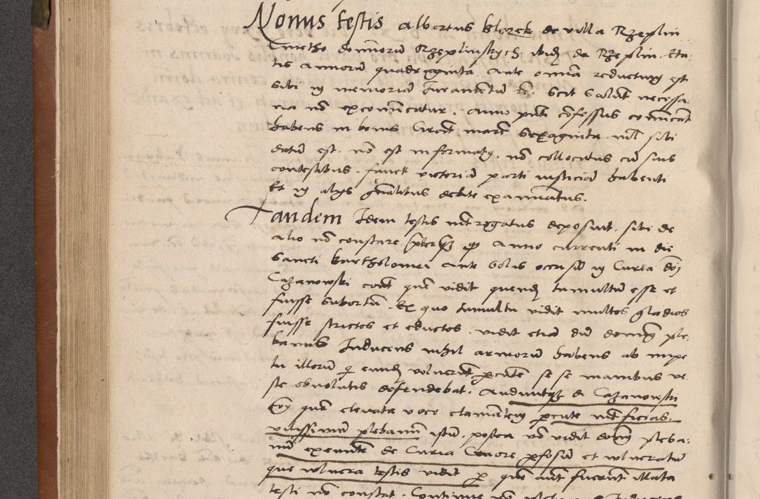 Zdjęcie nr 153 dla obiektu archiwalnego: Acta attestationum seu depositionum testium coram R. D. Petro de Gamratis, episcopo Cracoviensi, V. D. Bartholomaeo Gantkowski, Posnaniensi et Suae Paternitatis Rev. cancellario ac Sigismundo de Stazicza, decretorum doctore, auditore causarum curiae episcopalis praesidentibus ad a. D. 1540 et 1541, per me Bartholomaeum Ravensem, utraquw auctoriate notarium publicum et coram Sua Paternitatr Rev. causarum scriba feliciter inchoatum.