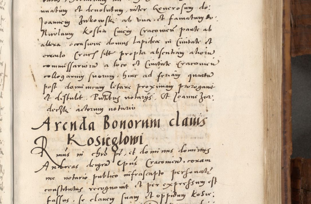 Zdjęcie nr 186 dla obiektu archiwalnego: Volumen unicum actorum episcopalium R. D. Andreae Zebrzydowski, episcopi Cracoviensis ducis Severiae ab a. D. 1551 usque ad annum 1560 mensem majum inclusive, quorum index ad finem praesentis voluminis adnotatus.