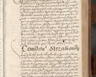 Zdjęcie nr 258 dla obiektu archiwalnego: Volumen unicum actorum episcopalium R. D. Andreae Zebrzydowski, episcopi Cracoviensis ducis Severiae ab a. D. 1551 usque ad annum 1560 mensem majum inclusive, quorum index ad finem praesentis voluminis adnotatus.