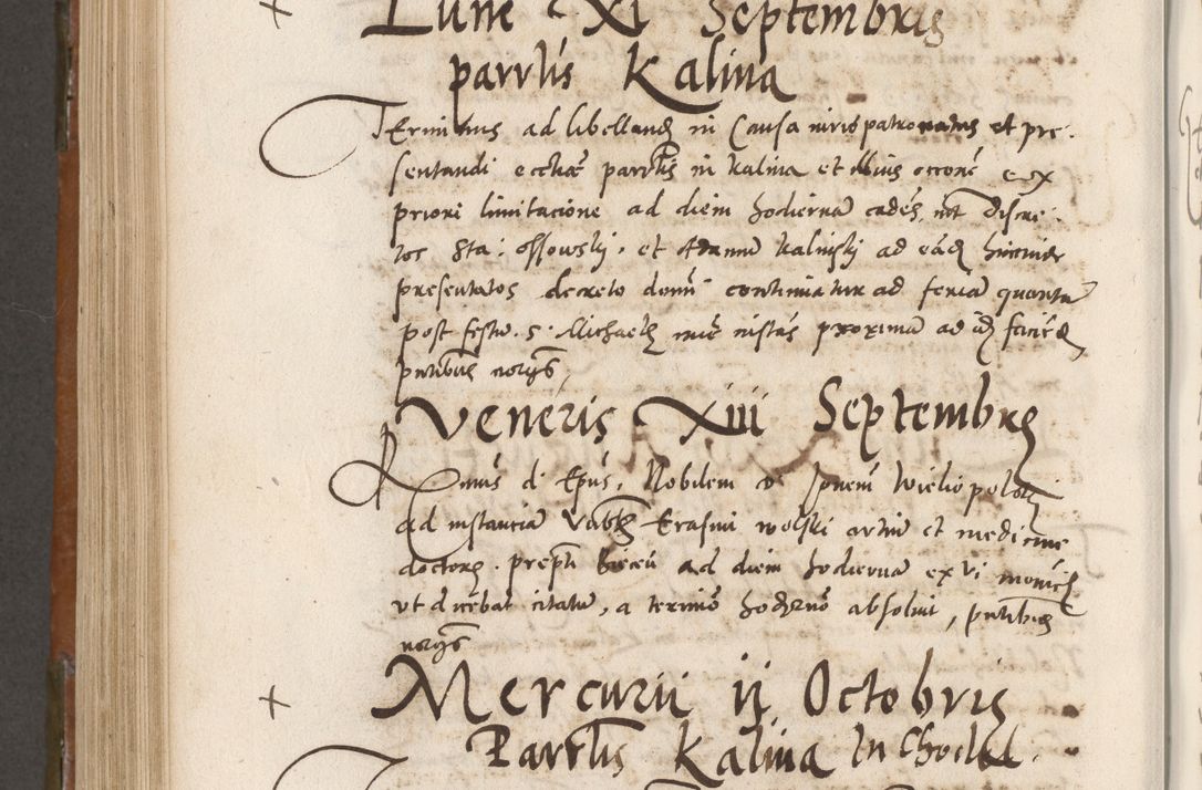 Zdjęcie nr 741 dla obiektu archiwalnego: Volumen unicum actorum episcopalium R. D. Andreae Zebrzydowski, episcopi Cracoviensis ducis Severiae ab a. D. 1551 usque ad annum 1560 mensem majum inclusive, quorum index ad finem praesentis voluminis adnotatus.