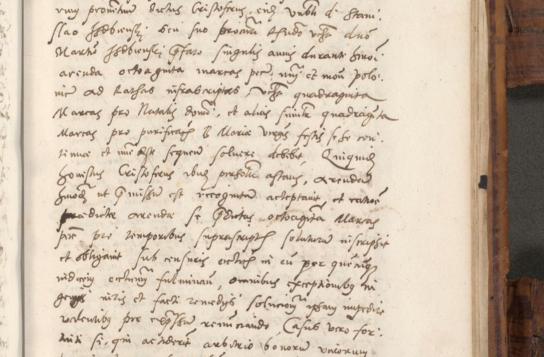Zdjęcie nr 1082 dla obiektu archiwalnego: Volumen unicum actorum episcopalium R. D. Andreae Zebrzydowski, episcopi Cracoviensis ducis Severiae ab a. D. 1551 usque ad annum 1560 mensem majum inclusive, quorum index ad finem praesentis voluminis adnotatus.