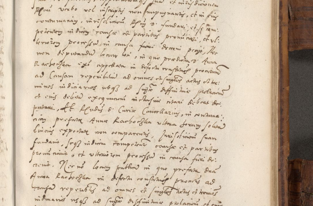 Zdjęcie nr 872 dla obiektu archiwalnego: Volumen unicum actorum episcopalium R. D. Andreae Zebrzydowski, episcopi Cracoviensis ducis Severiae ab a. D. 1551 usque ad annum 1560 mensem majum inclusive, quorum index ad finem praesentis voluminis adnotatus.