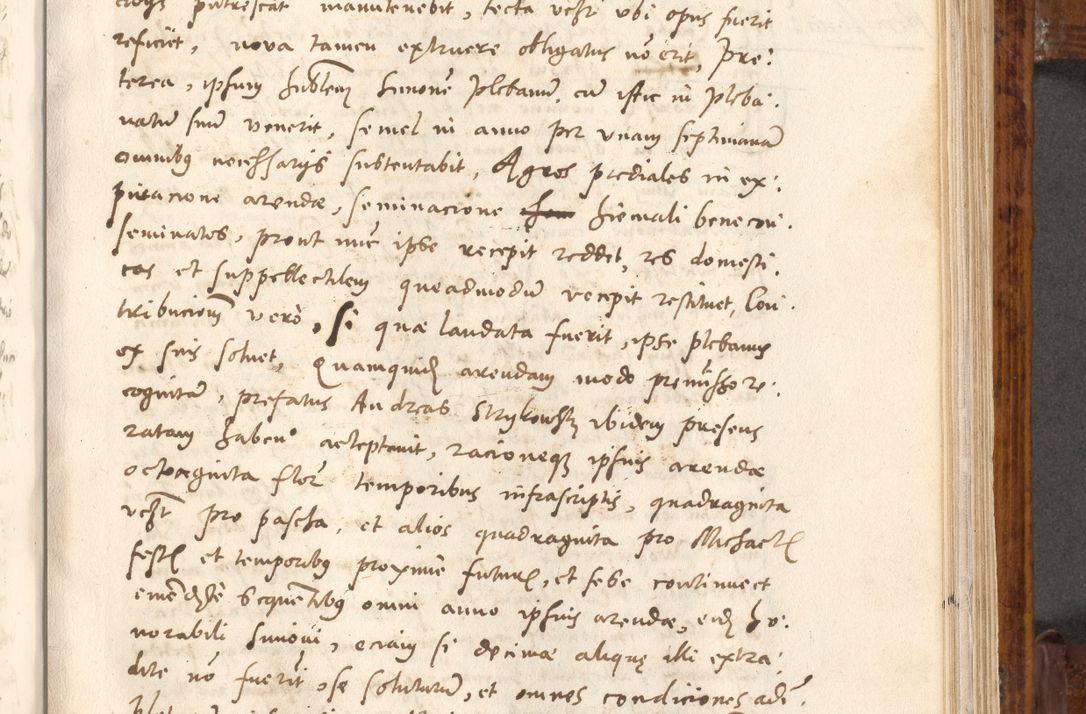 Zdjęcie nr 270 dla obiektu archiwalnego: Liber actorum tempore R. D. Philippi Padniewski, episcopi Cracoviensis et Regni Poloniae Vicecancellarii ad annum 1560, a die Augusti et per annos 1561, 1562 - 1572 usque ad 14 Aprilis registratorum.