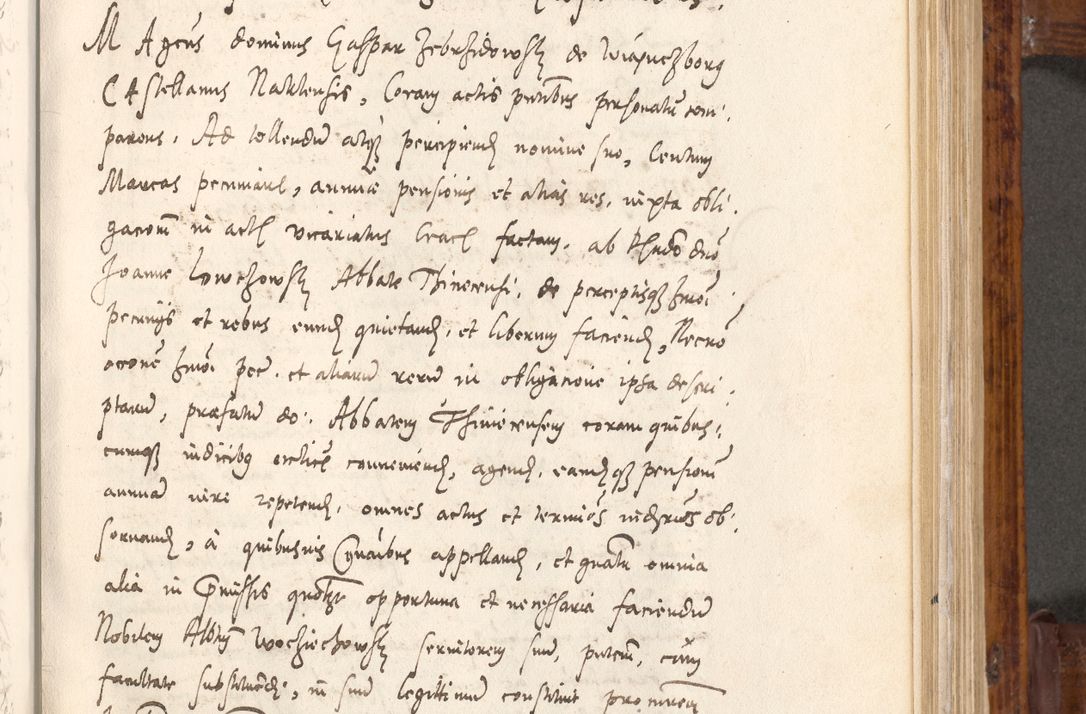 Zdjęcie nr 196 dla obiektu archiwalnego: Liber actorum tempore R. D. Philippi Padniewski, episcopi Cracoviensis et Regni Poloniae Vicecancellarii ad annum 1560, a die Augusti et per annos 1561, 1562 - 1572 usque ad 14 Aprilis registratorum.