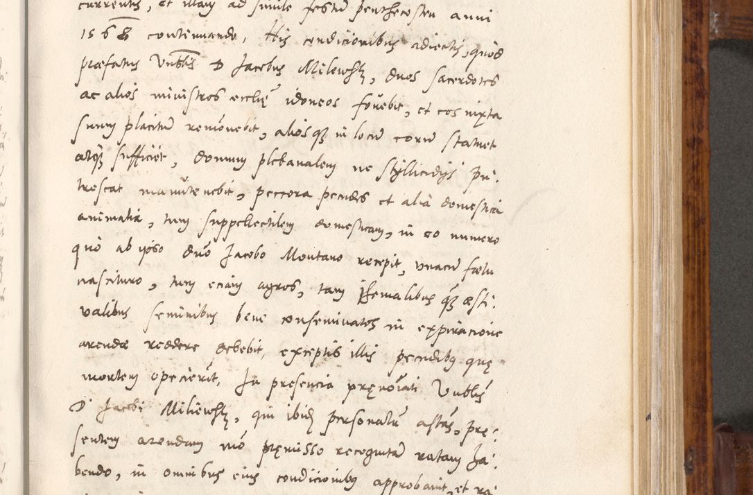 Zdjęcie nr 194 dla obiektu archiwalnego: Liber actorum tempore R. D. Philippi Padniewski, episcopi Cracoviensis et Regni Poloniae Vicecancellarii ad annum 1560, a die Augusti et per annos 1561, 1562 - 1572 usque ad 14 Aprilis registratorum.