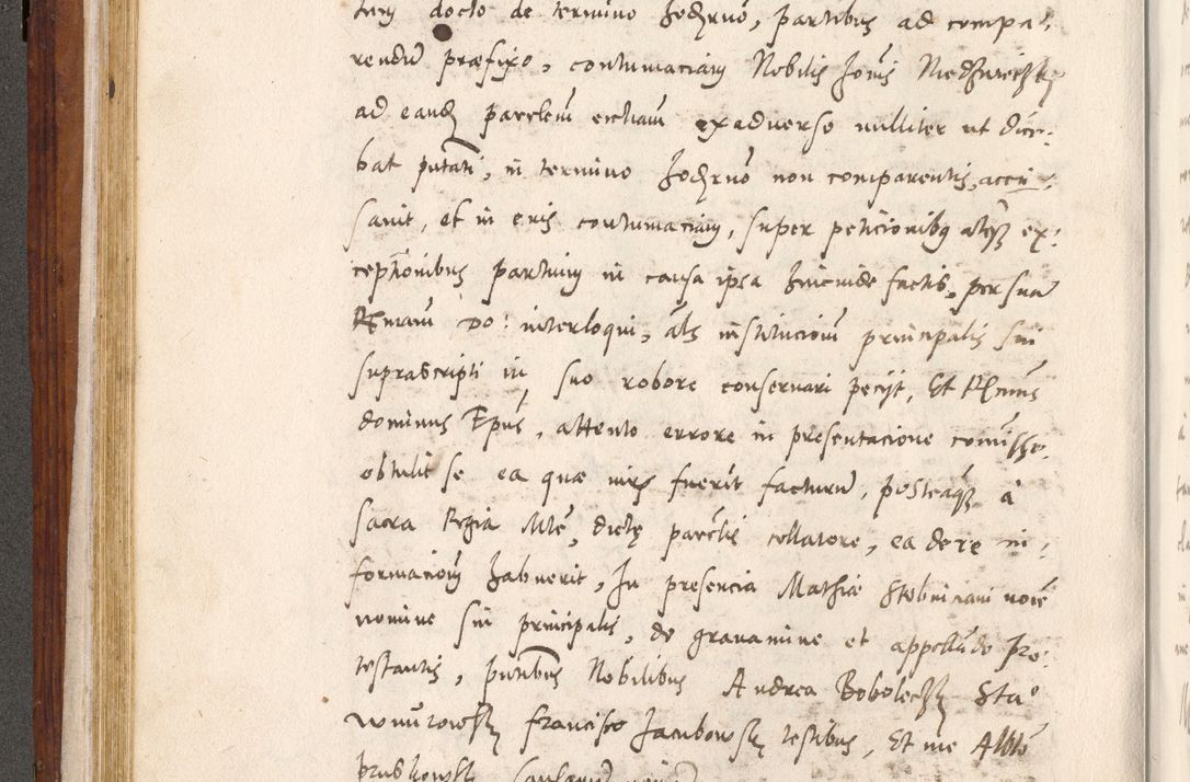 Zdjęcie nr 183 dla obiektu archiwalnego: Liber actorum tempore R. D. Philippi Padniewski, episcopi Cracoviensis et Regni Poloniae Vicecancellarii ad annum 1560, a die Augusti et per annos 1561, 1562 - 1572 usque ad 14 Aprilis registratorum.