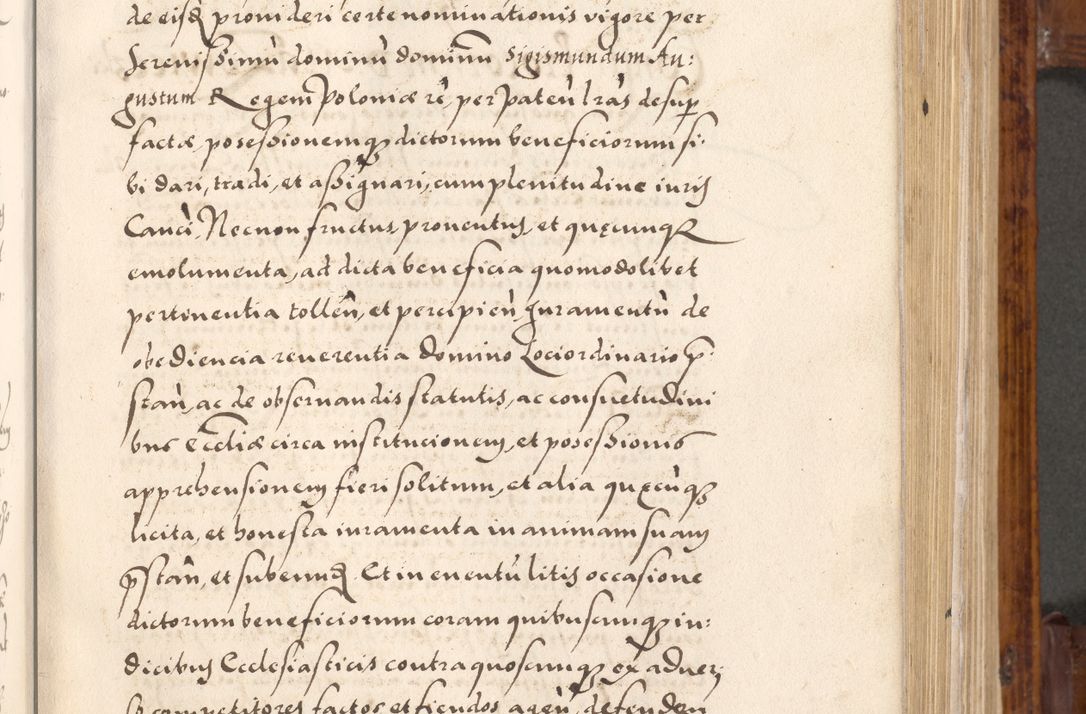 Zdjęcie nr 22 dla obiektu archiwalnego: Liber actorum tempore R. D. Philippi Padniewski, episcopi Cracoviensis et Regni Poloniae Vicecancellarii ad annum 1560, a die Augusti et per annos 1561, 1562 - 1572 usque ad 14 Aprilis registratorum.