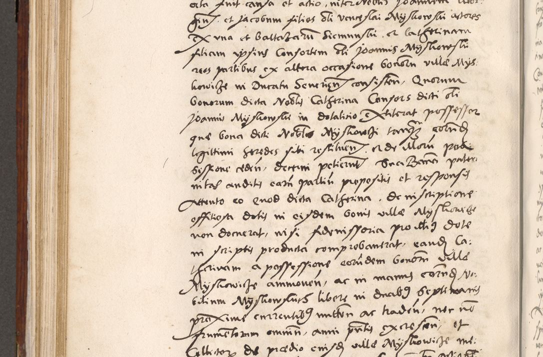 Zdjęcie nr 565 dla obiektu archiwalnego: Liber actorum tempore R. D. Philippi Padniewski, episcopi Cracoviensis et Regni Poloniae Vicecancellarii ad annum 1560, a die Augusti et per annos 1561, 1562 - 1572 usque ad 14 Aprilis registratorum.