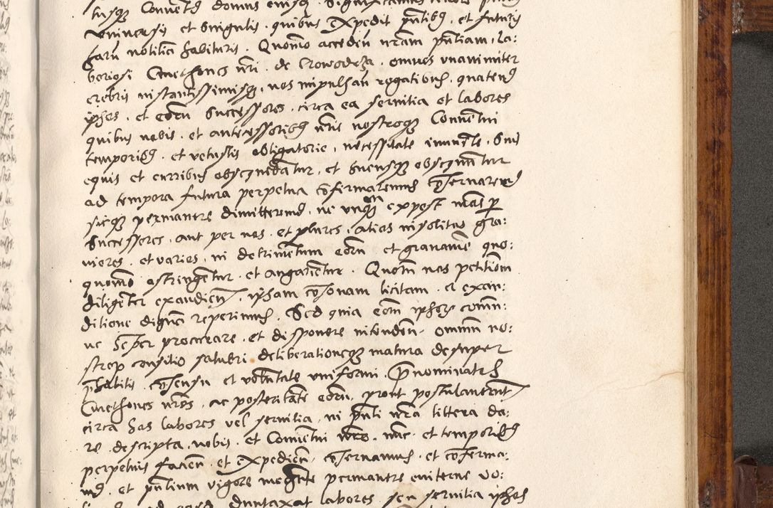 Zdjęcie nr 562 dla obiektu archiwalnego: Liber actorum tempore R. D. Philippi Padniewski, episcopi Cracoviensis et Regni Poloniae Vicecancellarii ad annum 1560, a die Augusti et per annos 1561, 1562 - 1572 usque ad 14 Aprilis registratorum.