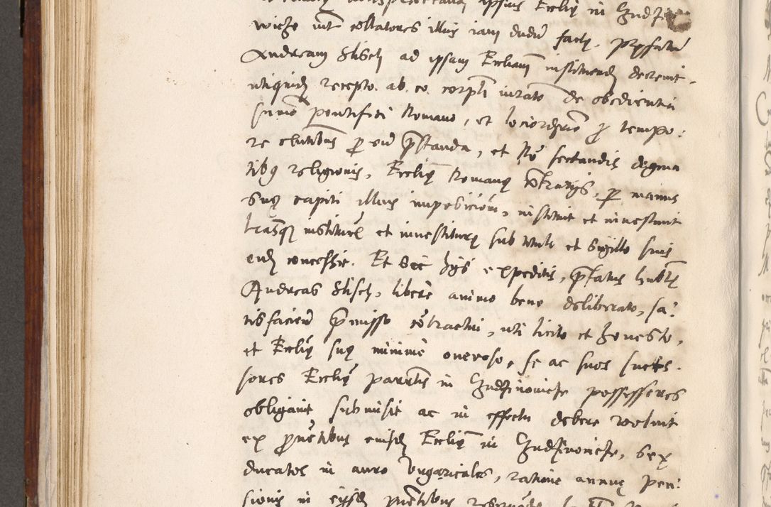 Zdjęcie nr 455 dla obiektu archiwalnego: Liber actorum tempore R. D. Philippi Padniewski, episcopi Cracoviensis et Regni Poloniae Vicecancellarii ad annum 1560, a die Augusti et per annos 1561, 1562 - 1572 usque ad 14 Aprilis registratorum.