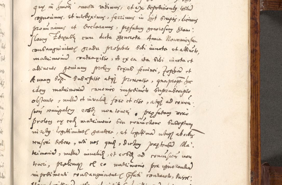 Zdjęcie nr 418 dla obiektu archiwalnego: Liber actorum tempore R. D. Philippi Padniewski, episcopi Cracoviensis et Regni Poloniae Vicecancellarii ad annum 1560, a die Augusti et per annos 1561, 1562 - 1572 usque ad 14 Aprilis registratorum.