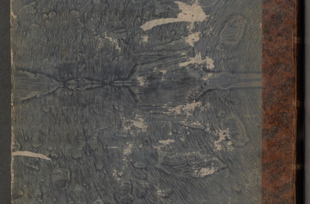 Zdjęcie nr 2 dla obiektu archiwalnego: Protocollon exhibitorum consistorii metropolitani Leopoliensis ex anno 1816