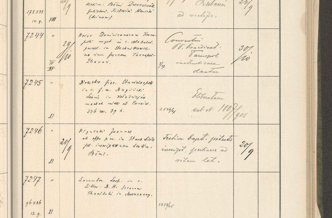 Zdjęcie nr 291 dla obiektu archiwalnego: Protocollum 1907 r.