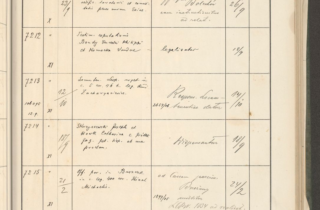 Zdjęcie nr 287 dla obiektu archiwalnego: Protocollum 1907 r.