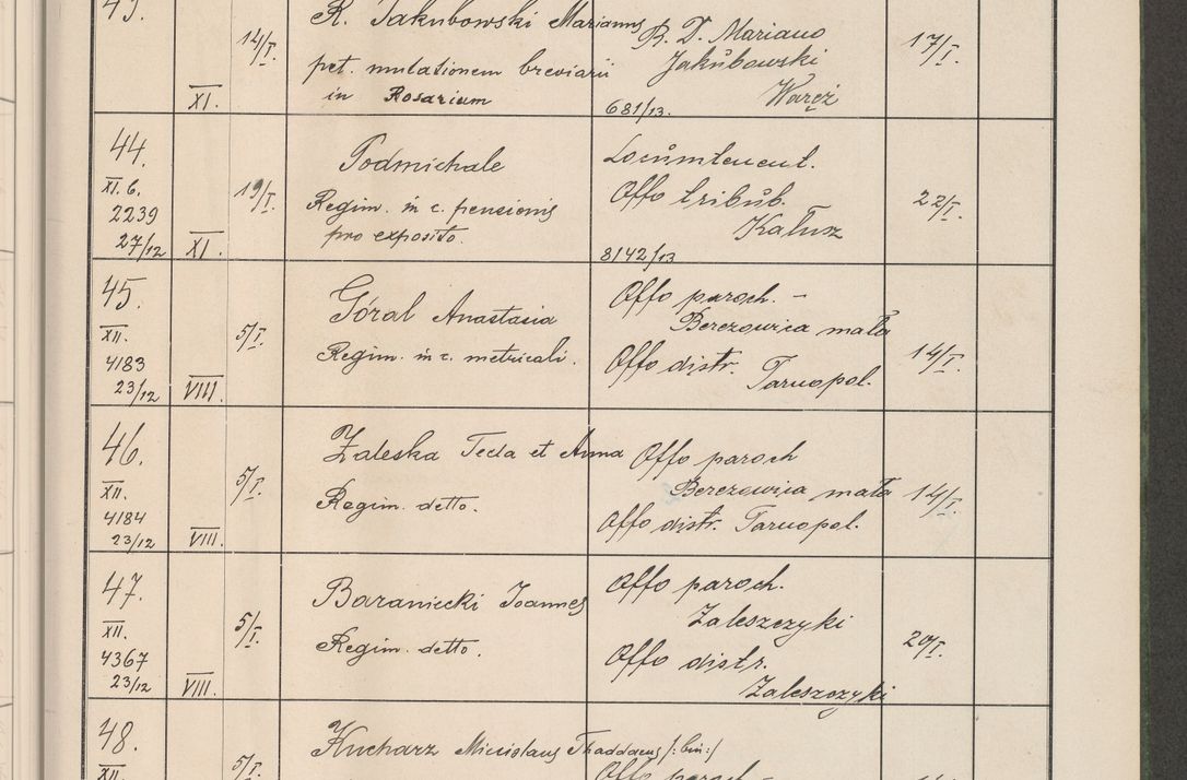 Zdjęcie nr 10 dla obiektu archiwalnego: Protocollum Consistorii lat. Leop. 1914