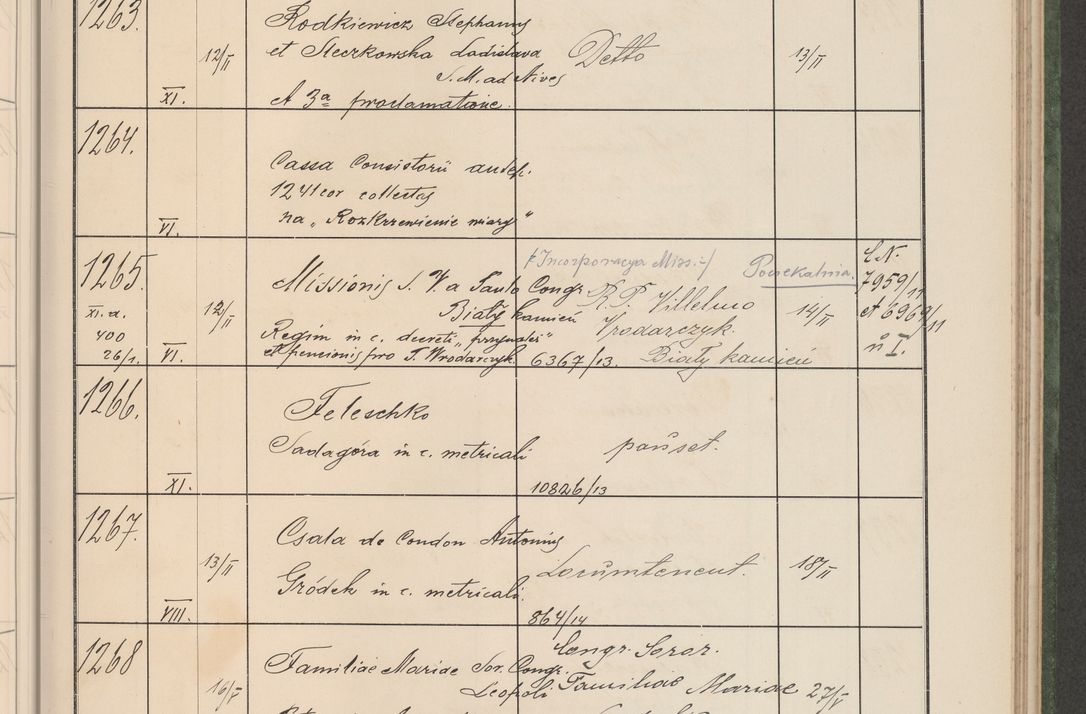 Zdjęcie nr 132 dla obiektu archiwalnego: Protocollum Consistorii lat. Leop. 1914
