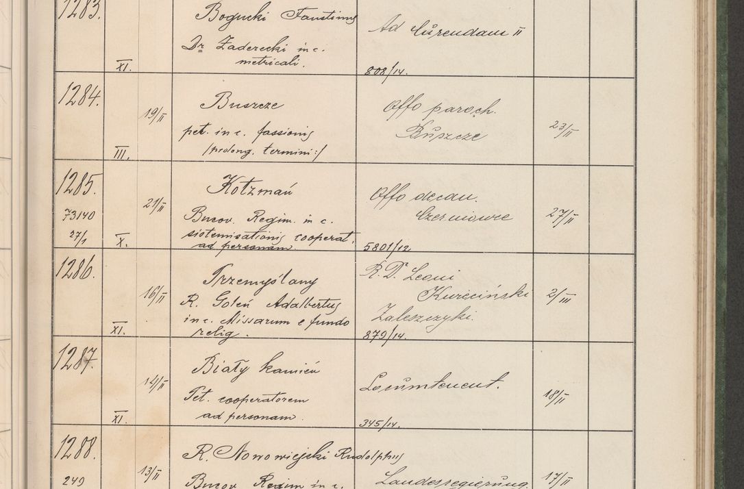 Zdjęcie nr 134 dla obiektu archiwalnego: Protocollum Consistorii lat. Leop. 1914