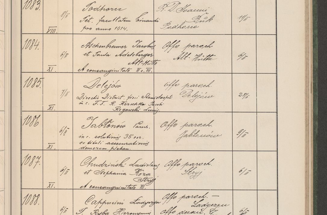 Zdjęcie nr 114 dla obiektu archiwalnego: Protocollum Consistorii lat. Leop. 1914