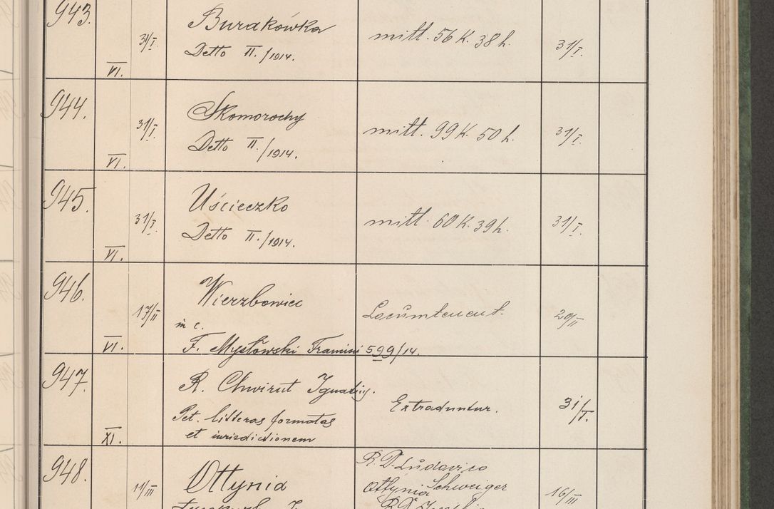Zdjęcie nr 100 dla obiektu archiwalnego: Protocollum Consistorii lat. Leop. 1914
