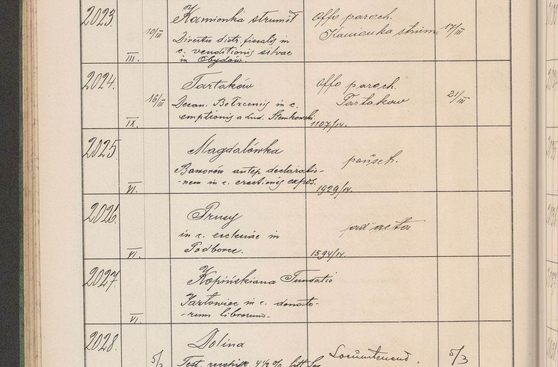 Zdjęcie nr 209 dla obiektu archiwalnego: Protocollum Consistorii lat. Leop. 1914